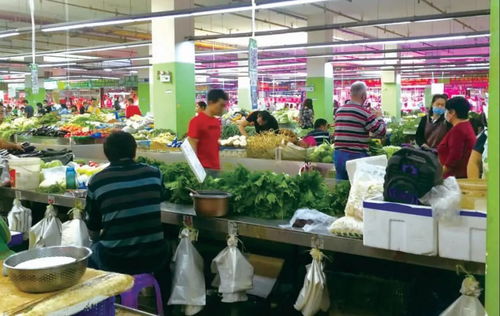 昆明 禁塑 12年調(diào)查 菜市場 小商店仍在用,大多來自黑工廠 小作坊