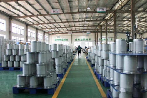 火力全開！伊普思福建工廠成功投產(chǎn)，第1000臺(tái)干燥機(jī)正式下線交付